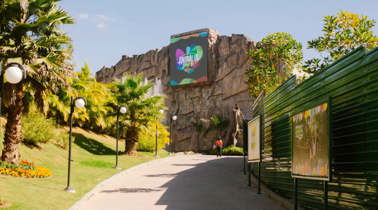 Animália Park - Zoo Safari + Parque de Diversão Indoor