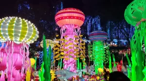 Lektrik Festival de Luzes