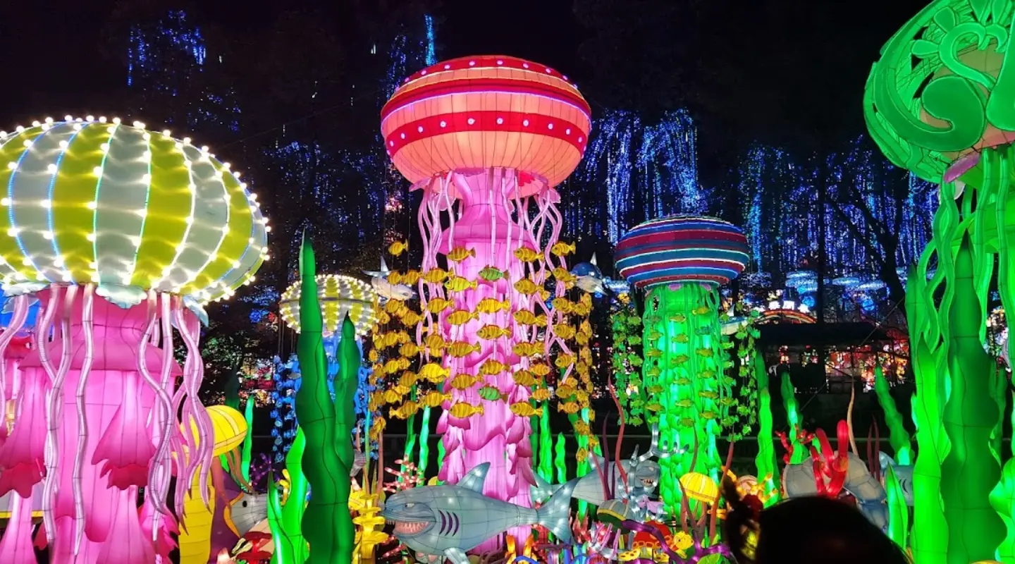 Lektrik Festival de Luzes