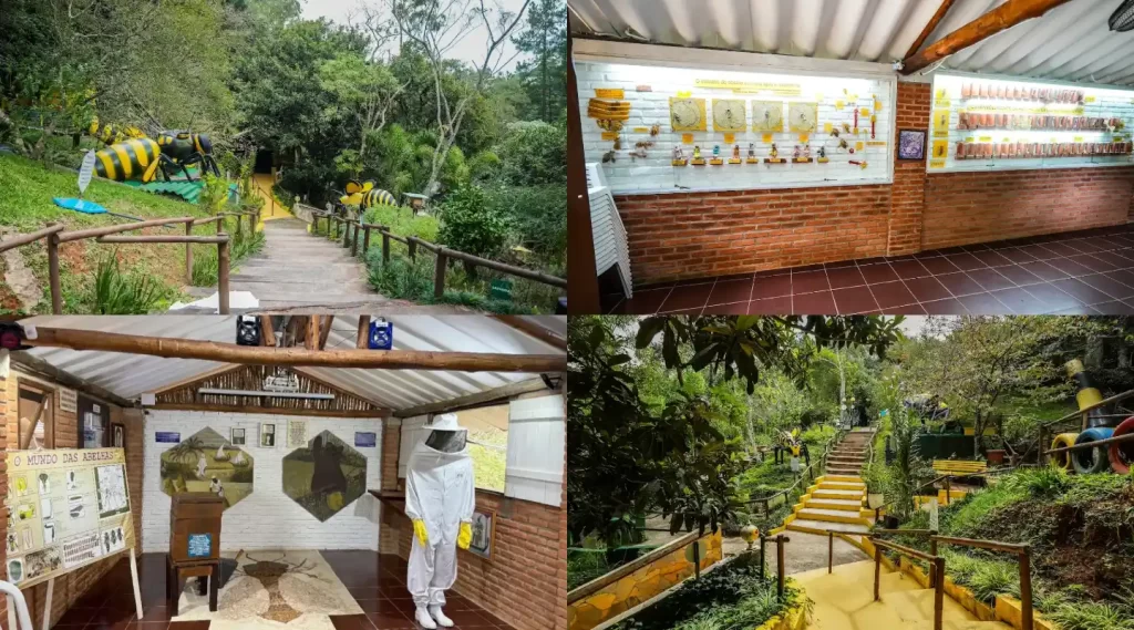 Cidade das Abelhas - Ambientes e Passeio Educativo