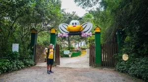 Cidade das Abelhas: Uma Aventura Educativa e Inesquecível para Toda a Família