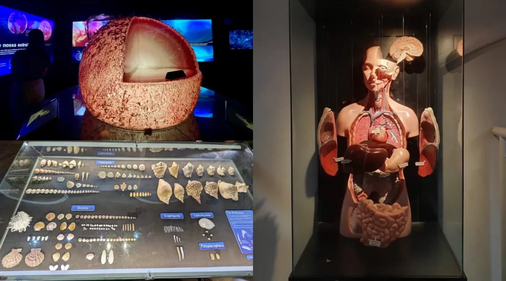 Museu Catavento - Educação e Interatividade