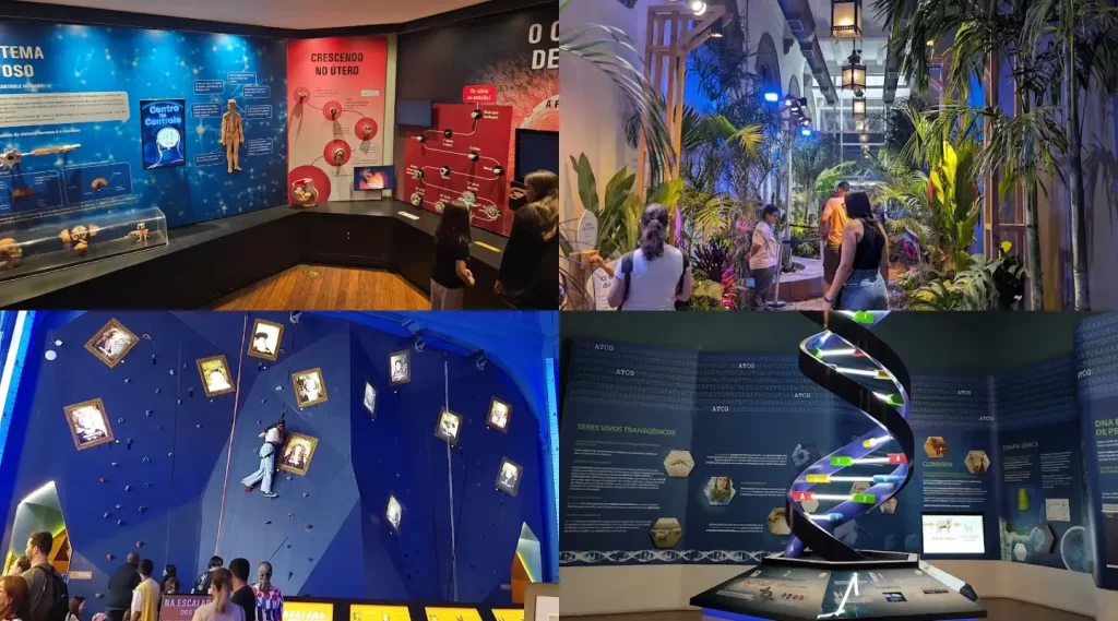 Museu Catavento - 4 Seções e Exposições